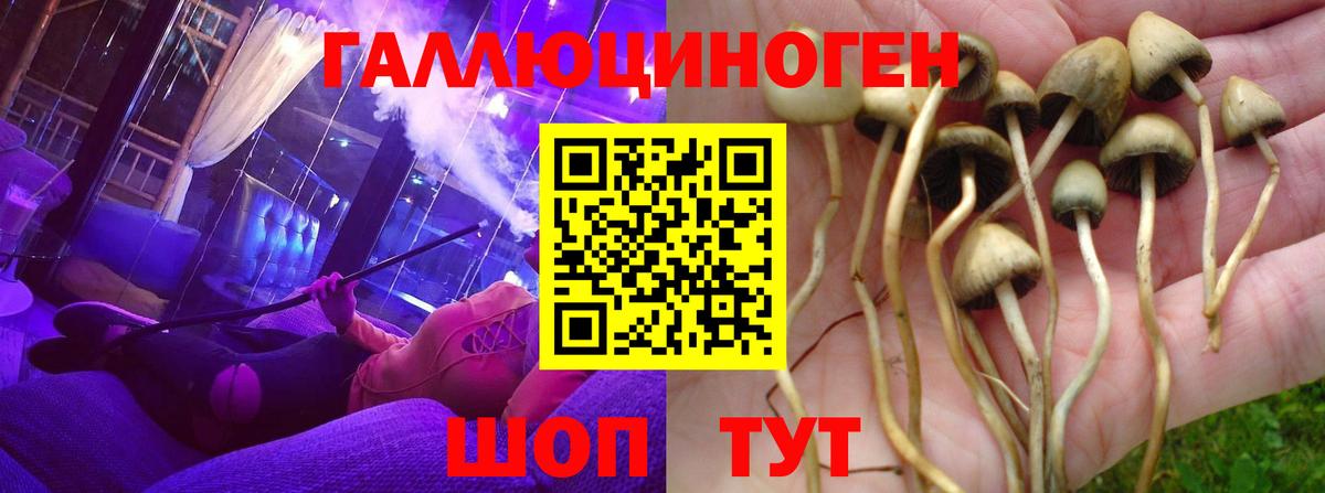 Тейково  Галлюциногенные грибы Magic Shrooms  Псилоцибиновые грибы ЛСД  Вход с VPN 
